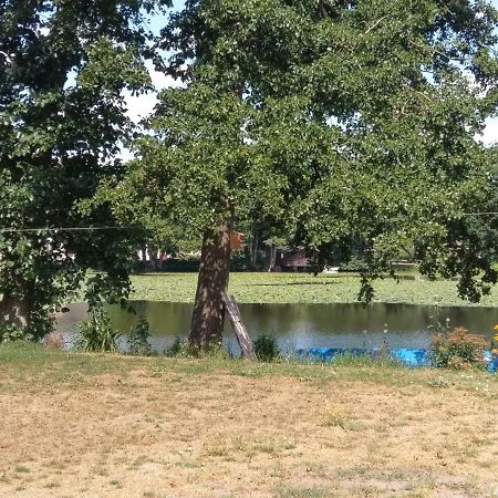 Bollingstedt Ferienwohnung Am See מראה חיצוני תמונה